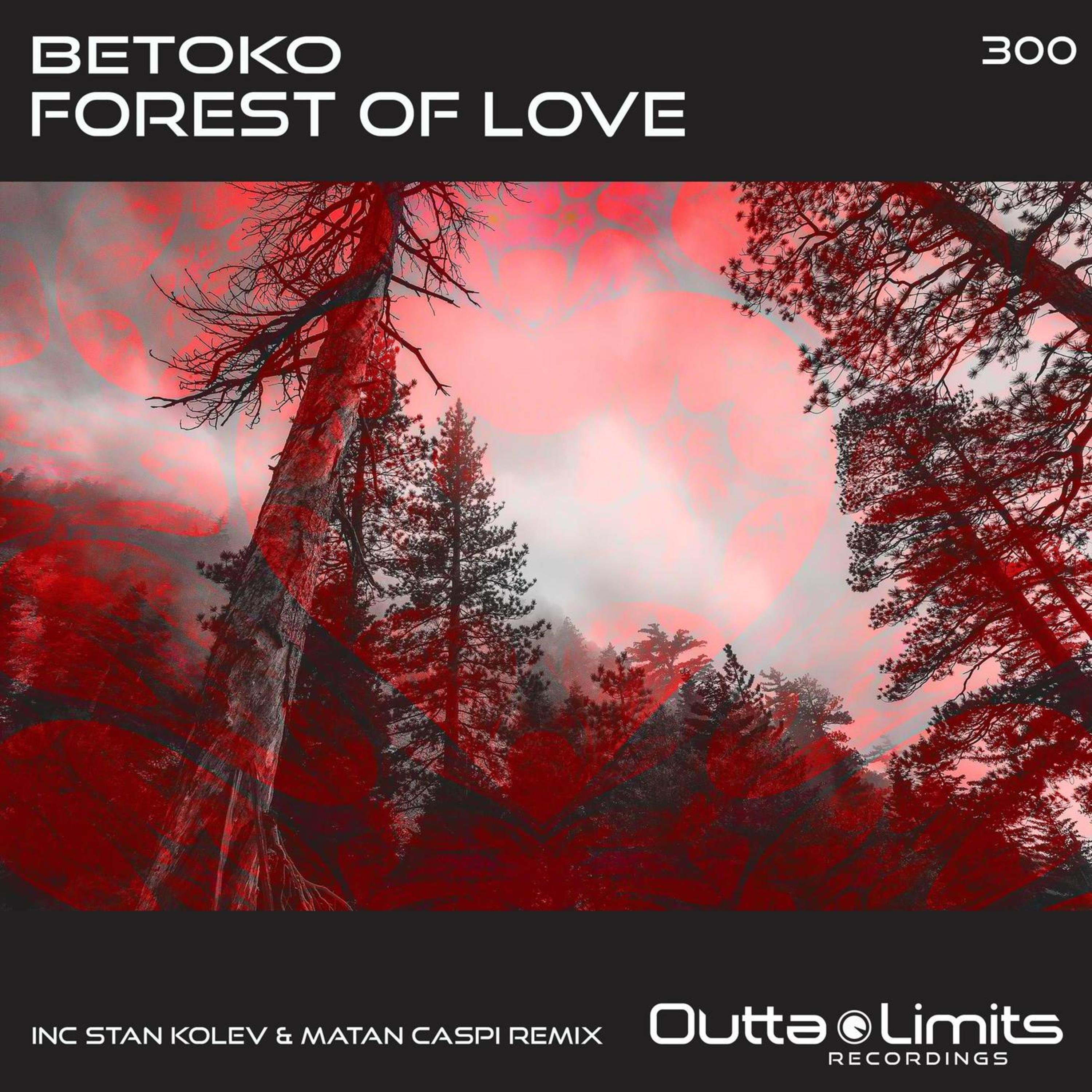 Betoko - Forest Of Love (Original Mix)