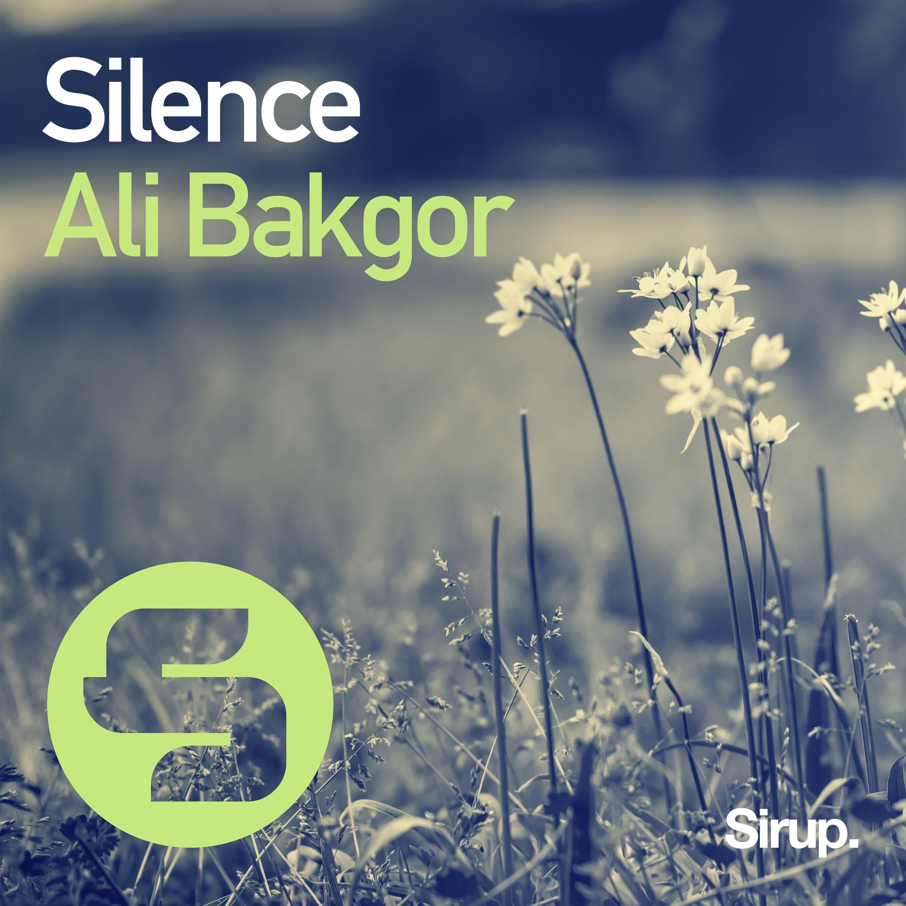 Ali Bakgor - Silence (Original Club Mix)