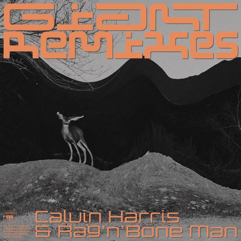 Calvin Harris & Rag'n'Bone Man - Giant (Purple Disco Machine Extended Remix)
