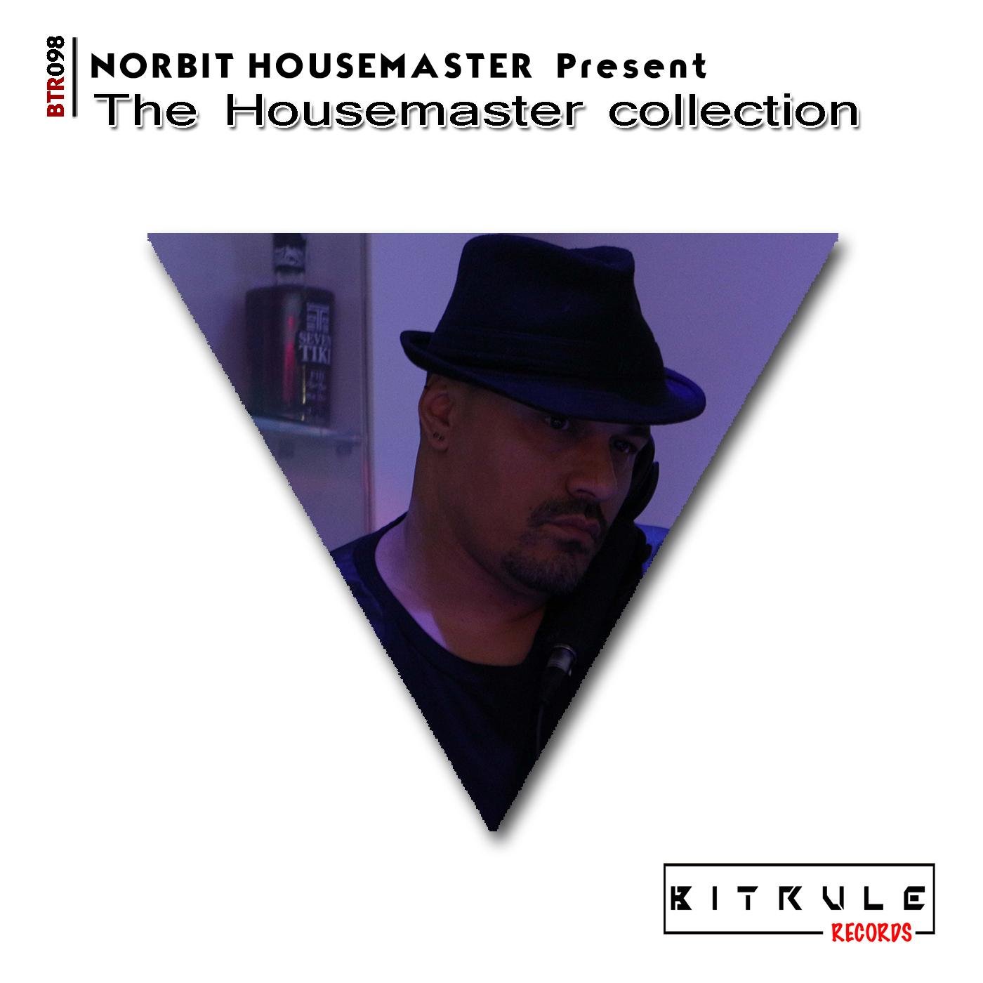 Amelien, Norbit Housemaster - You Make Me Whole (Original Mix)