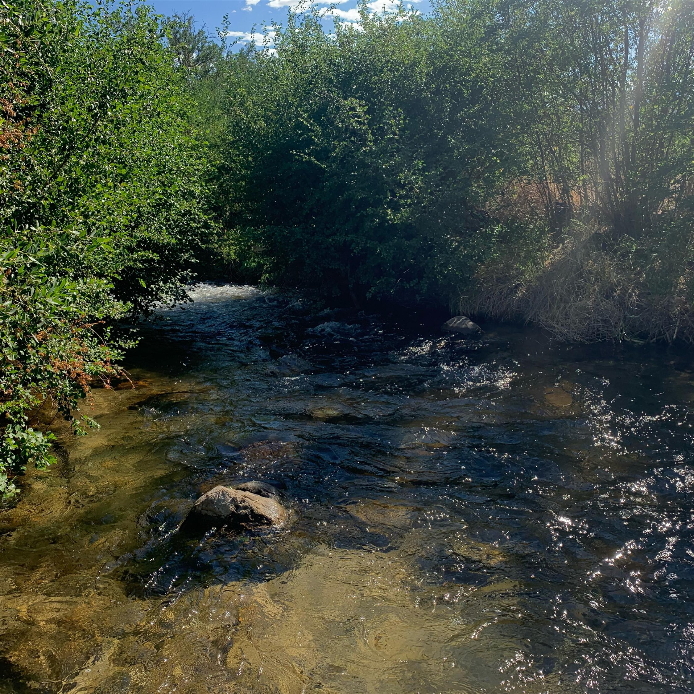 Koss - Spring Lyrics