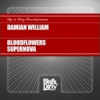 Damian William - Supernova(Original Mix)